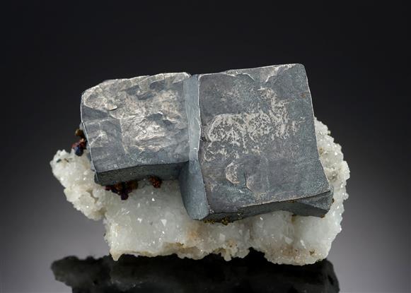CC19518 specimen image