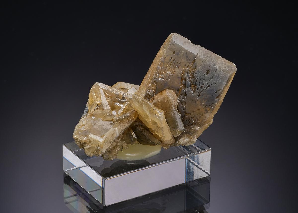 CC19521 specimen image