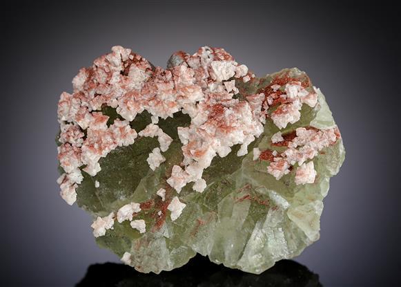 CC19532 specimen image