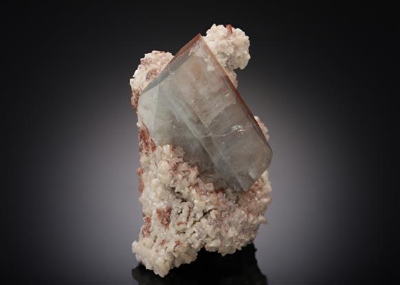 CC19536 specimen image
