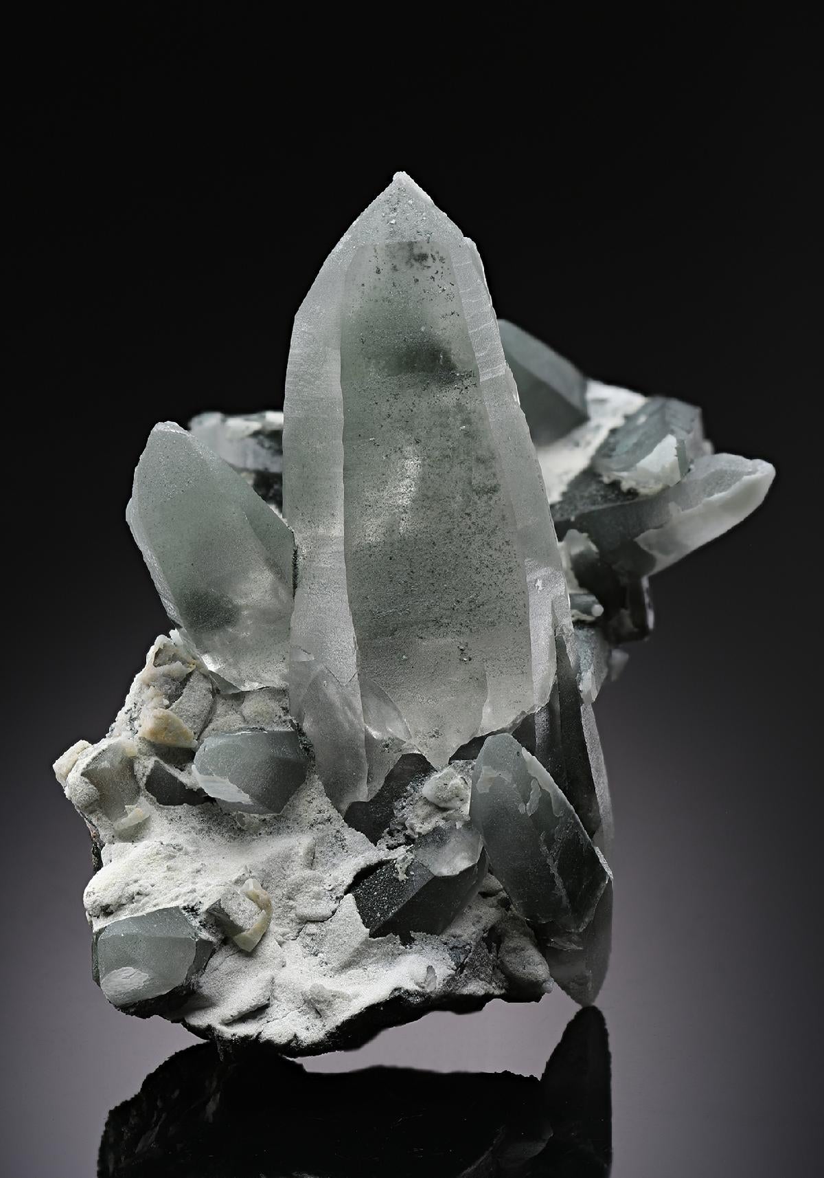 CC19539 specimen image