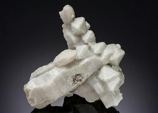 CC19541 specimen image