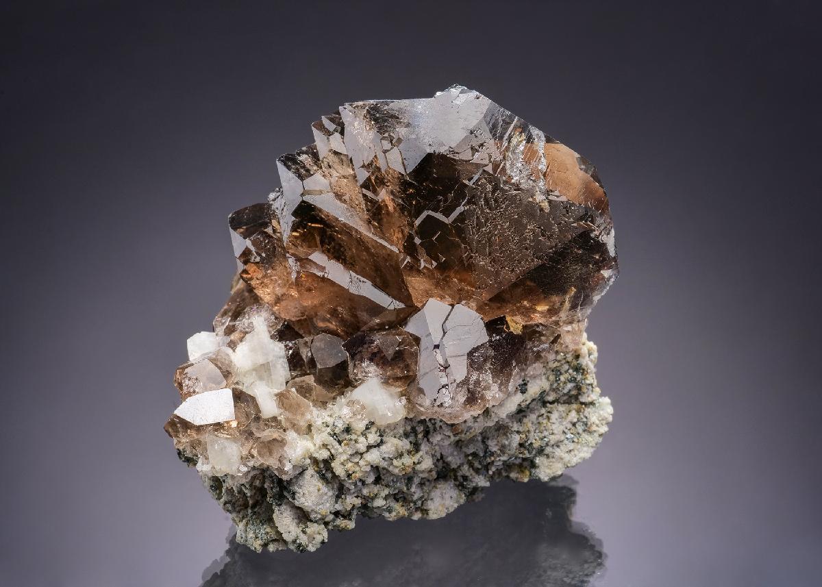 CC19543 specimen image