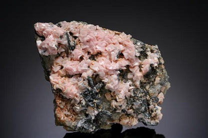 CC19551 specimen image
