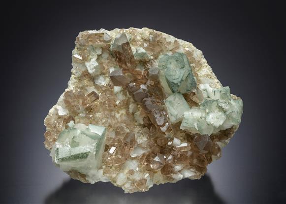 CC19569 specimen image