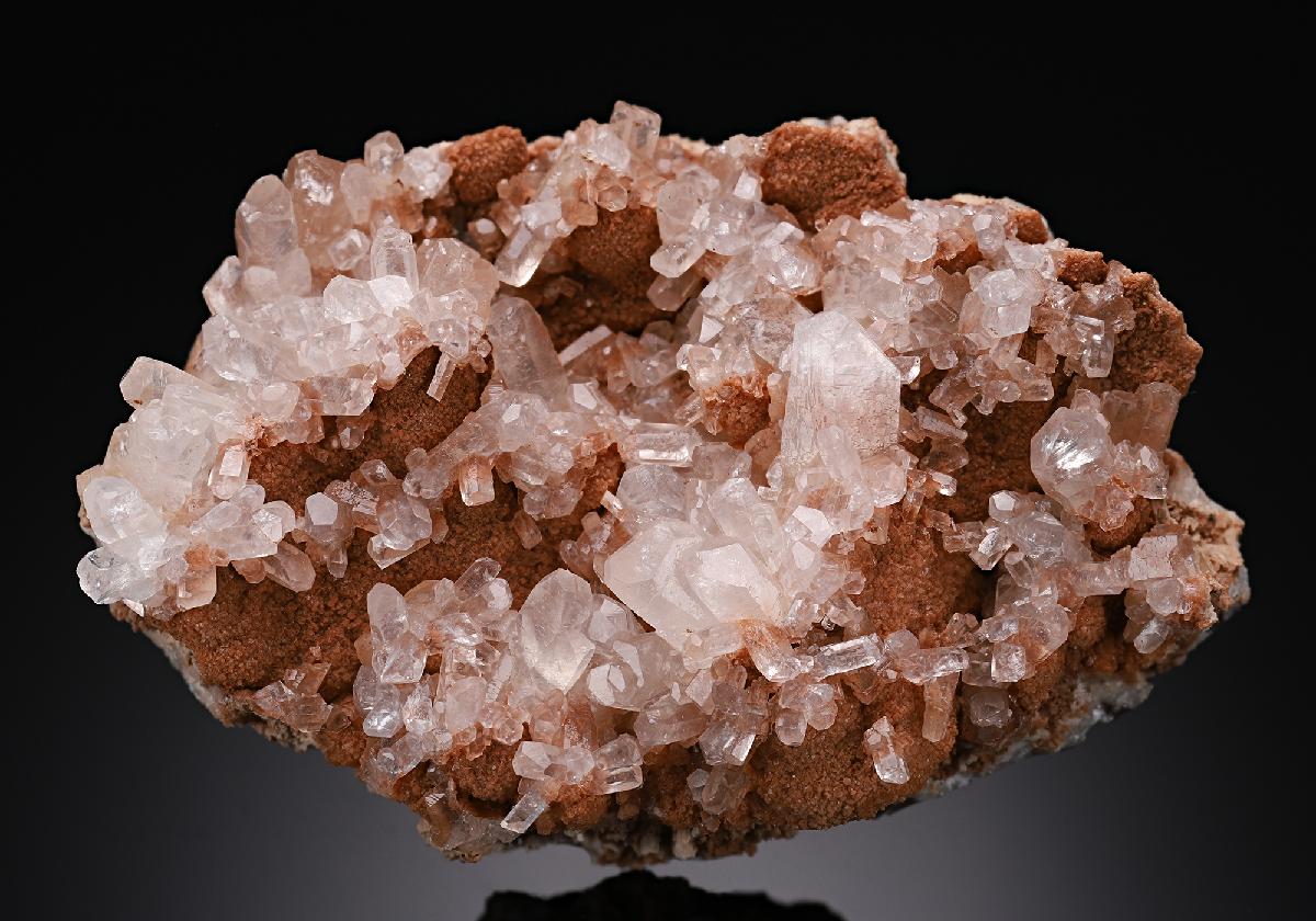 CC19577 specimen image