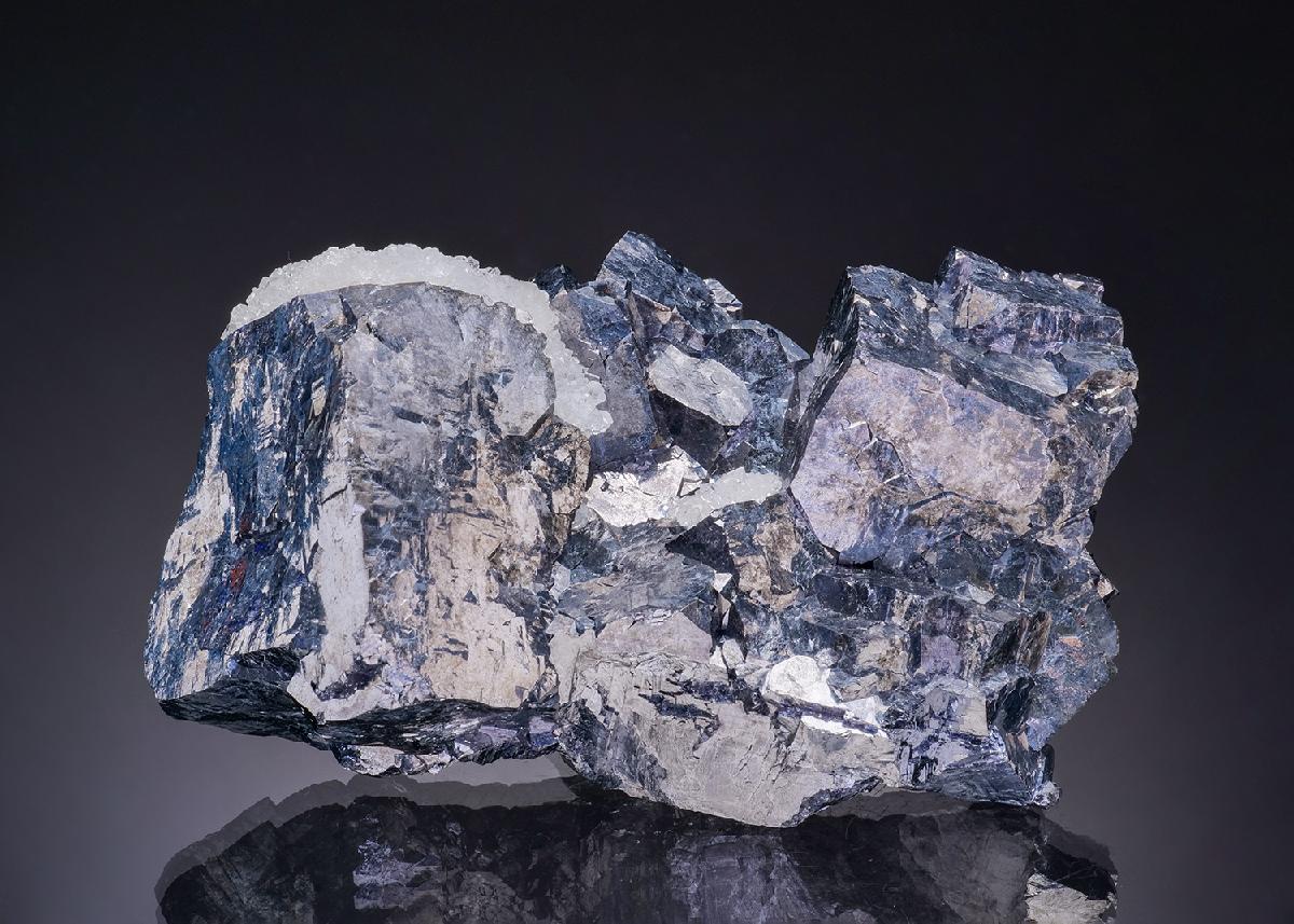 CC19578 specimen image