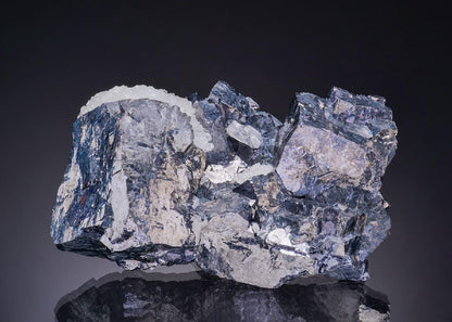 CC19578 specimen image