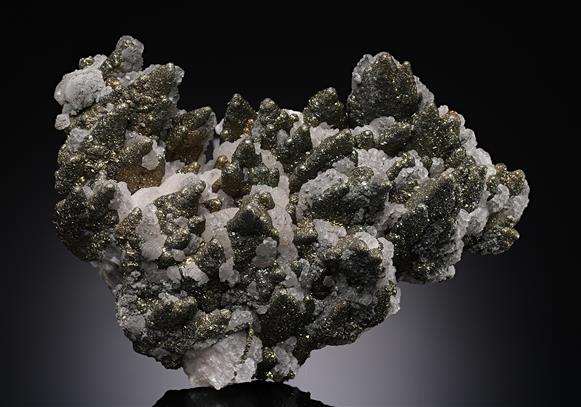 CC19583 specimen image