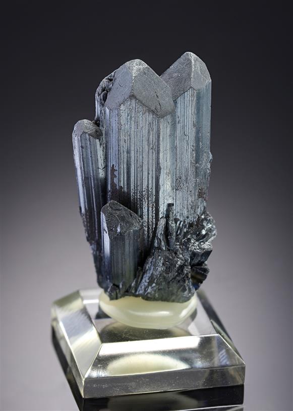 CC19604 specimen image