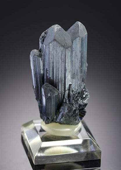 CC19604 specimen image