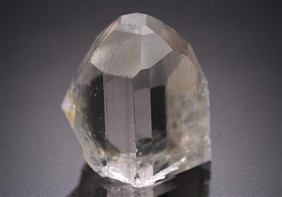 CC19607 specimen image