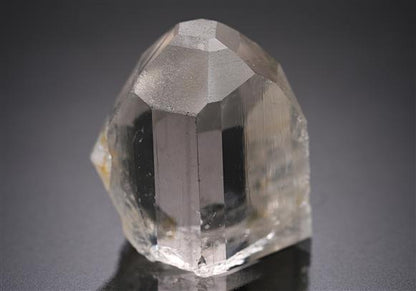 CC19607 specimen image