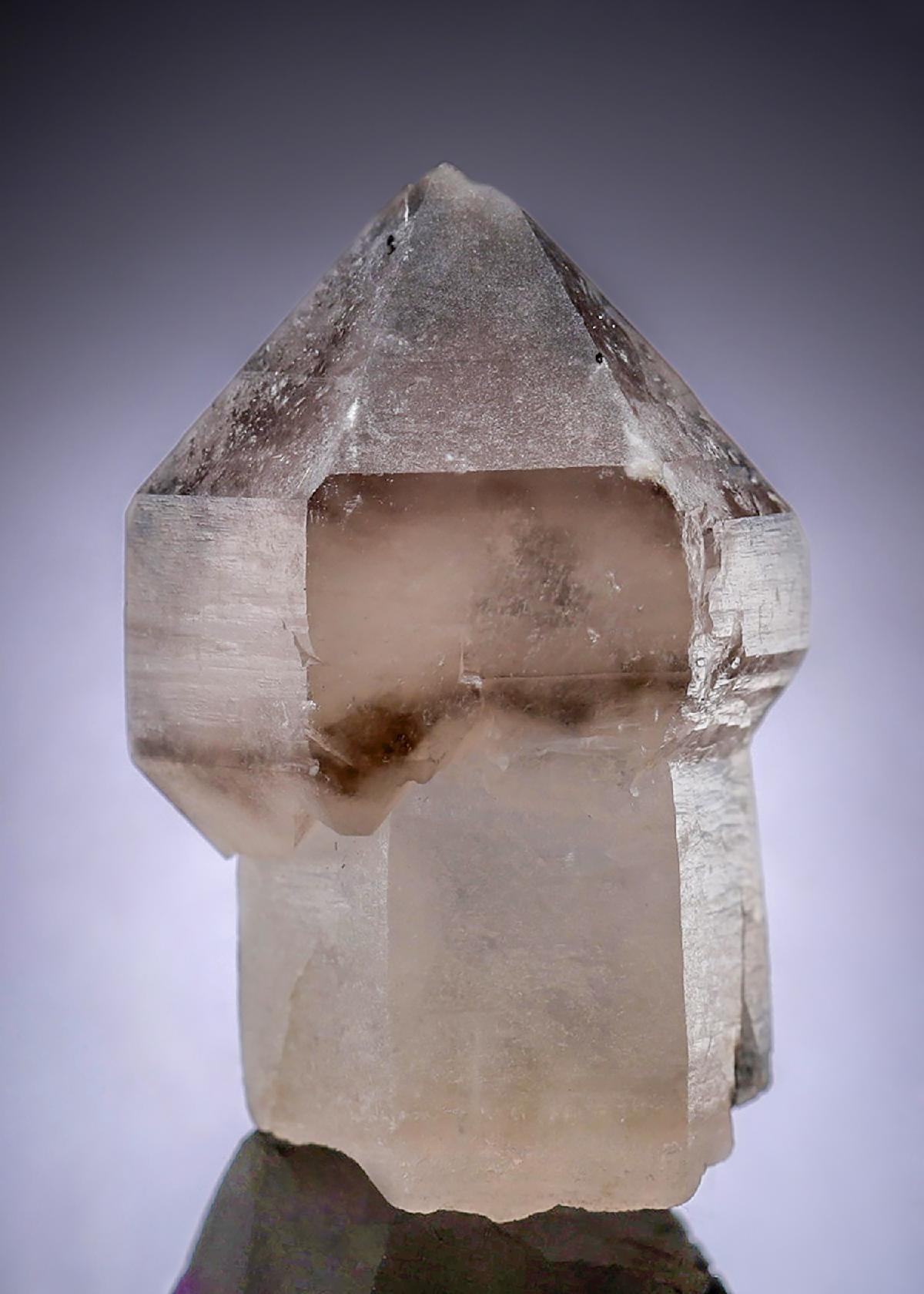 CC19615 specimen image