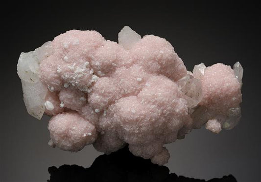 CC19619 specimen image