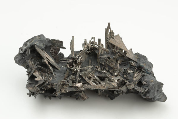 CC19622 specimen image