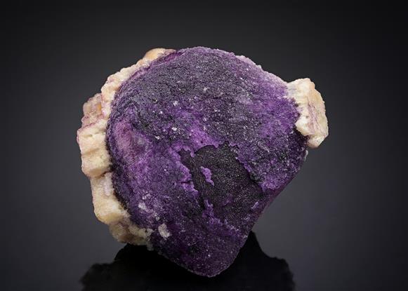 CC19633 specimen image