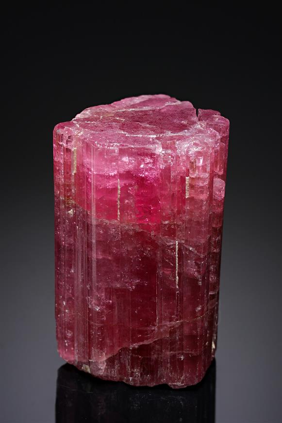 CC19638 specimen image