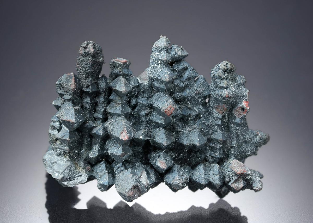 CC19639 specimen image
