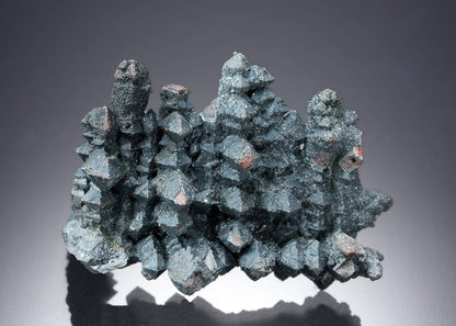 CC19639 specimen image