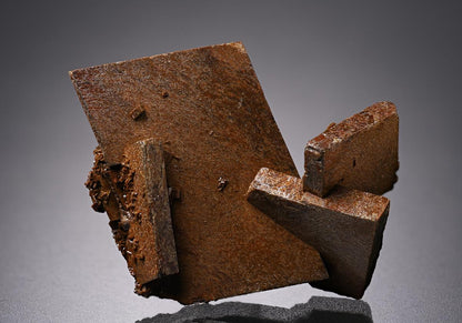 CC19642 specimen image