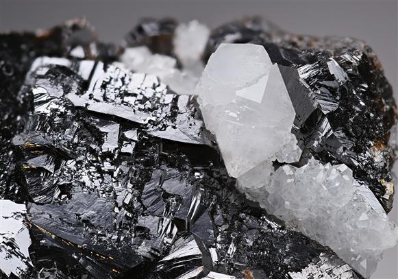 CC19643 specimen image