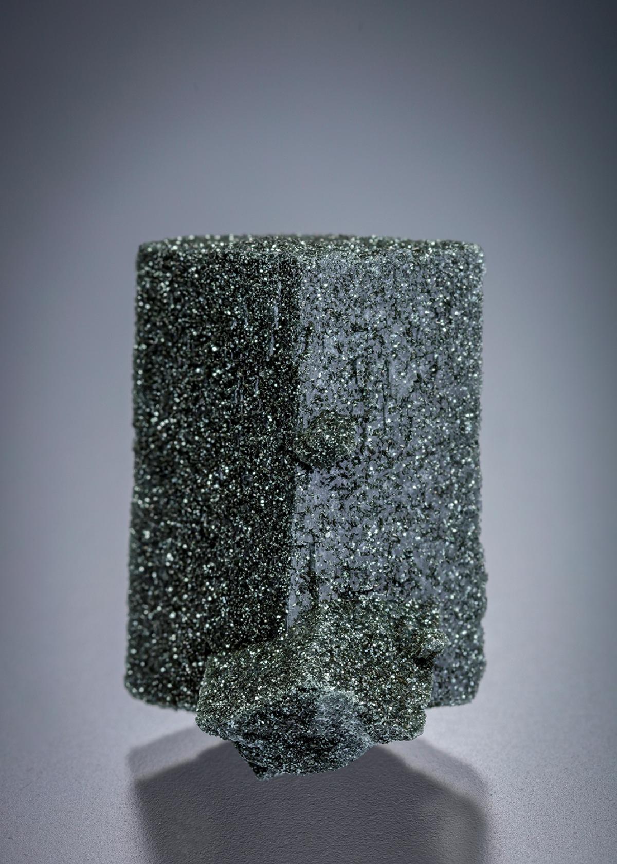 CC19655 specimen image