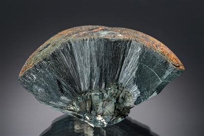CC19656 specimen image