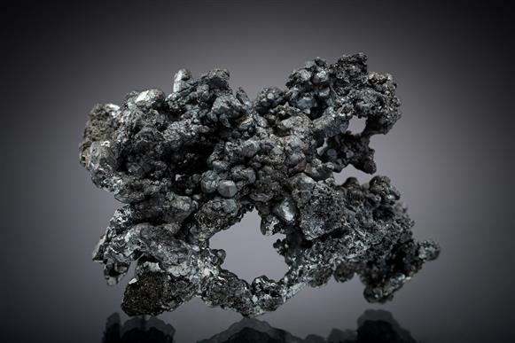 CC19659 specimen image