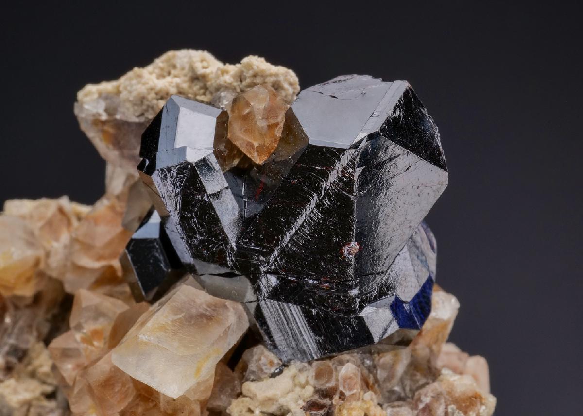 CC19662 specimen image