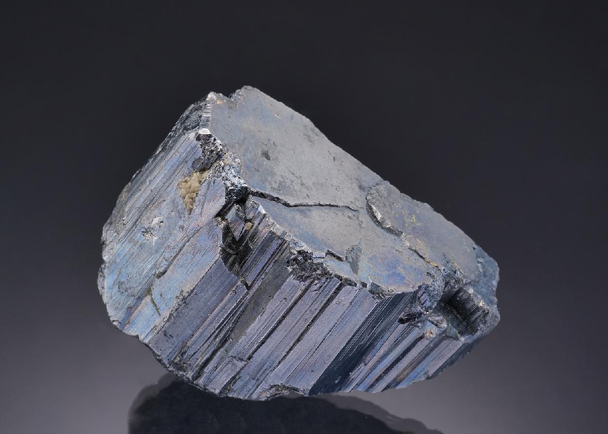 CC19665 specimen image