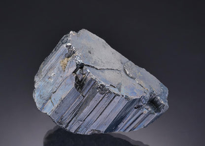 CC19665 specimen image