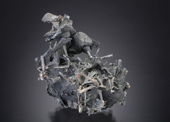 CC19669 specimen image