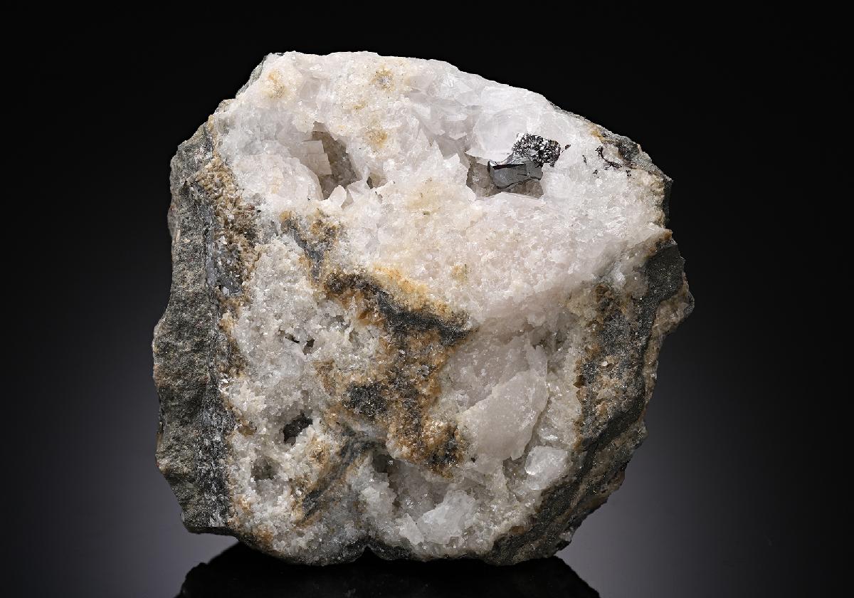 CC19671 specimen image