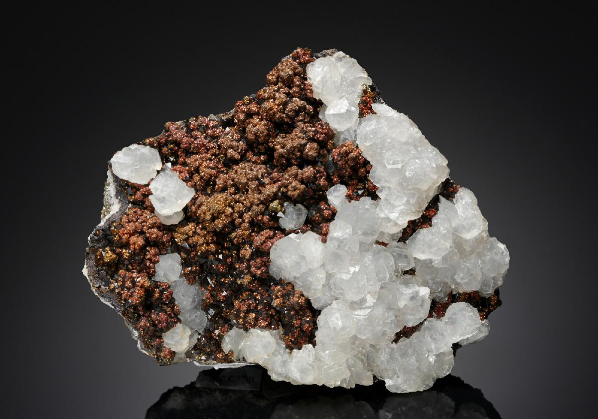 CC19674 specimen image