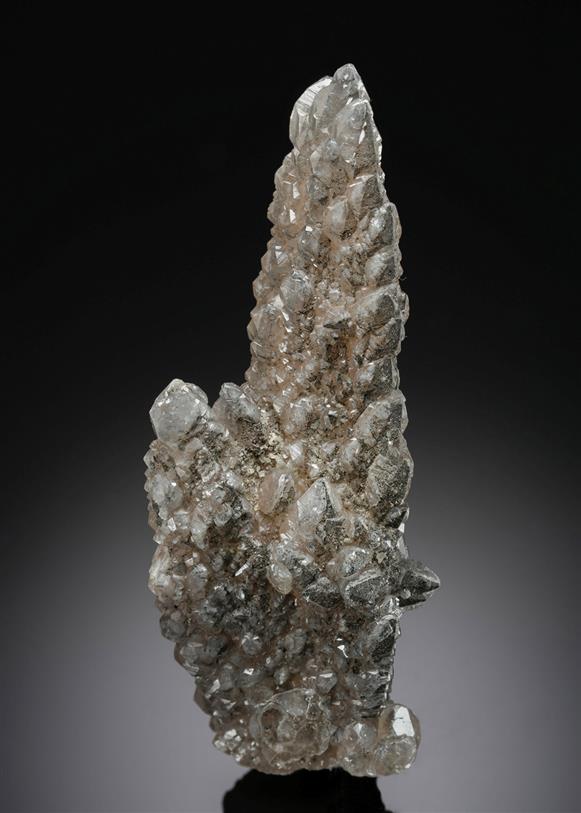 CC19677 specimen image