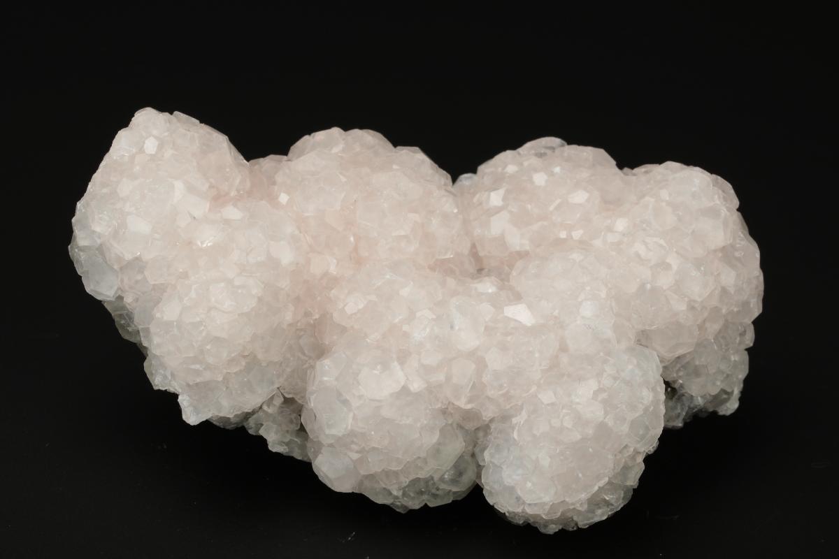 CC19688 specimen image