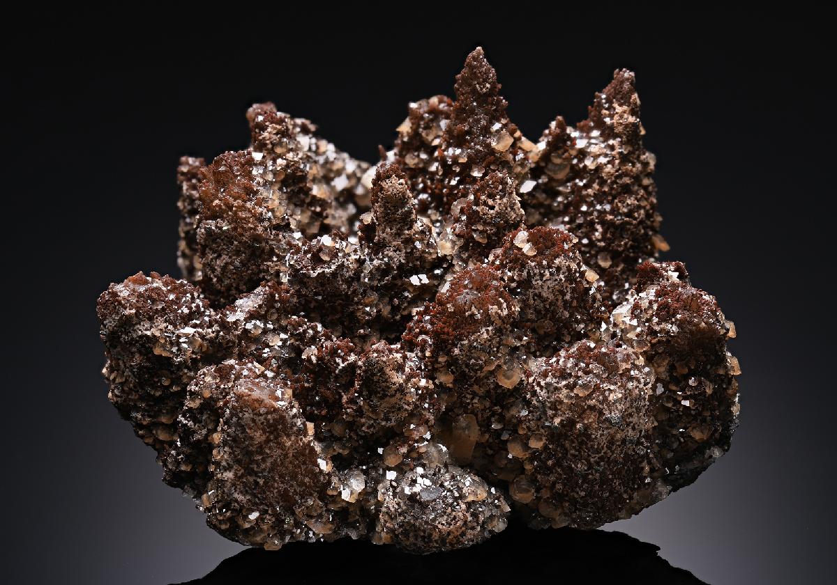 CC19698 specimen image