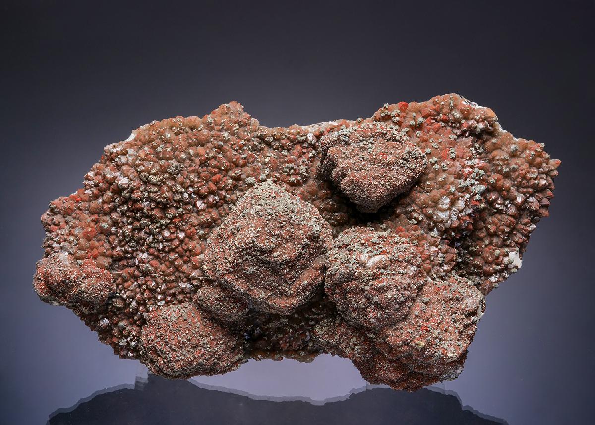 CC19700 specimen image