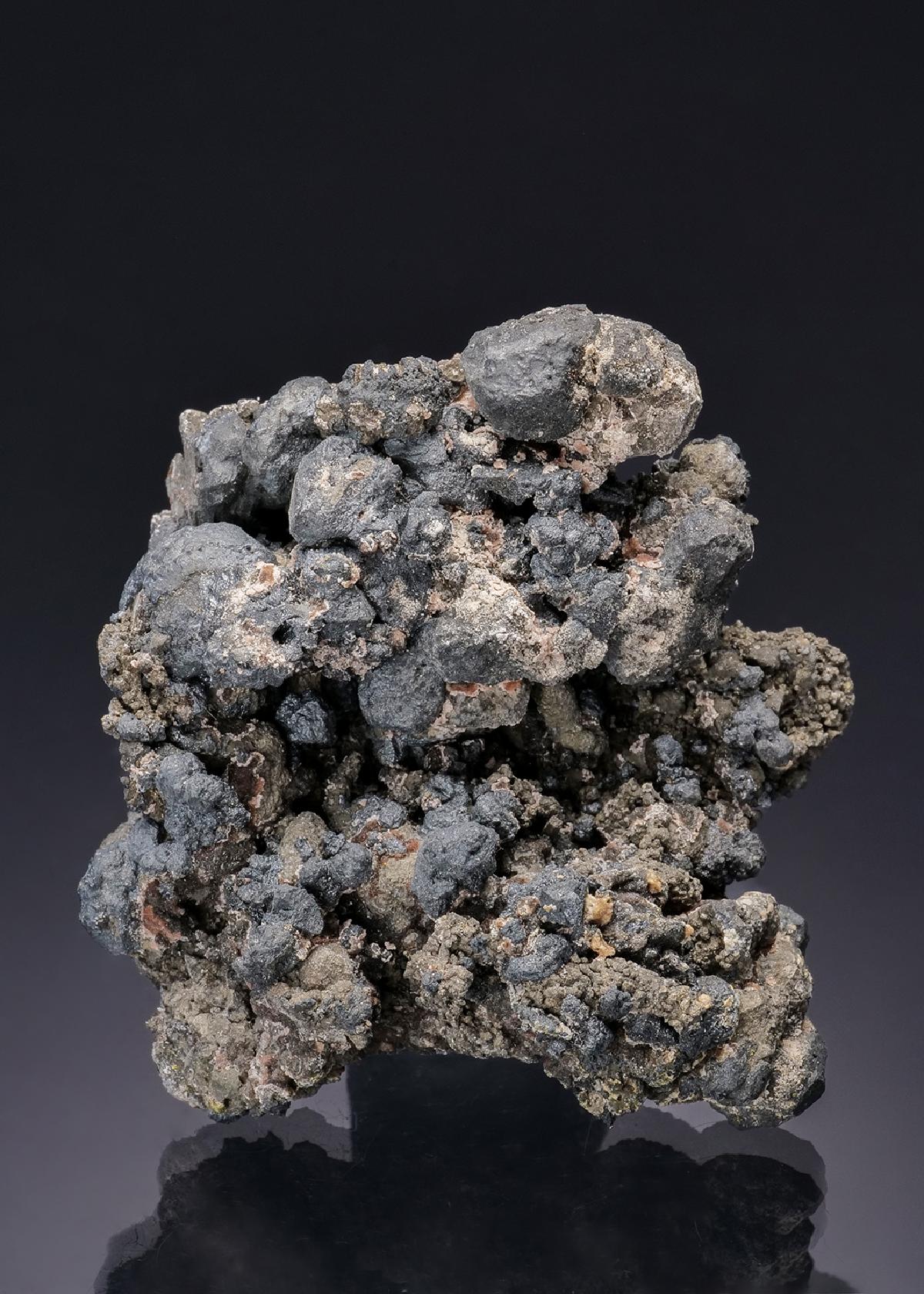 CC19701 specimen image