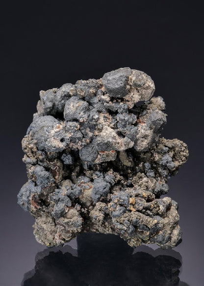 CC19701 specimen image