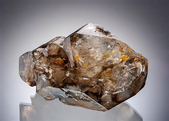 CC19712 specimen image