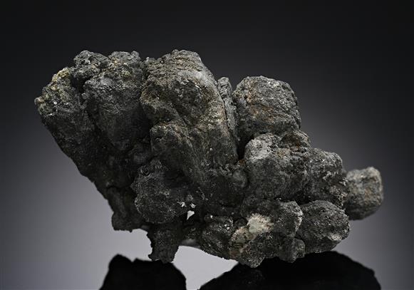 CC19715 specimen image