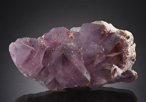 CC19720 specimen image