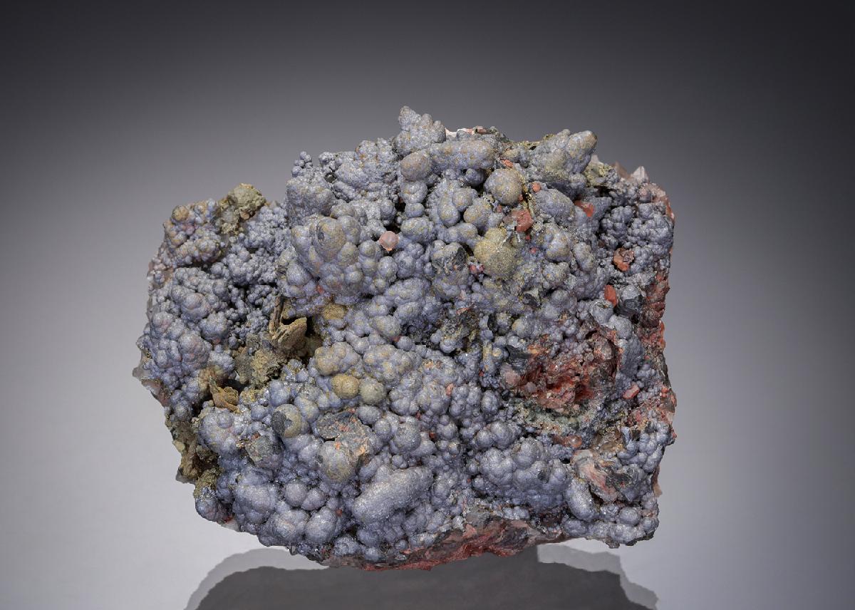 CC19721 specimen image