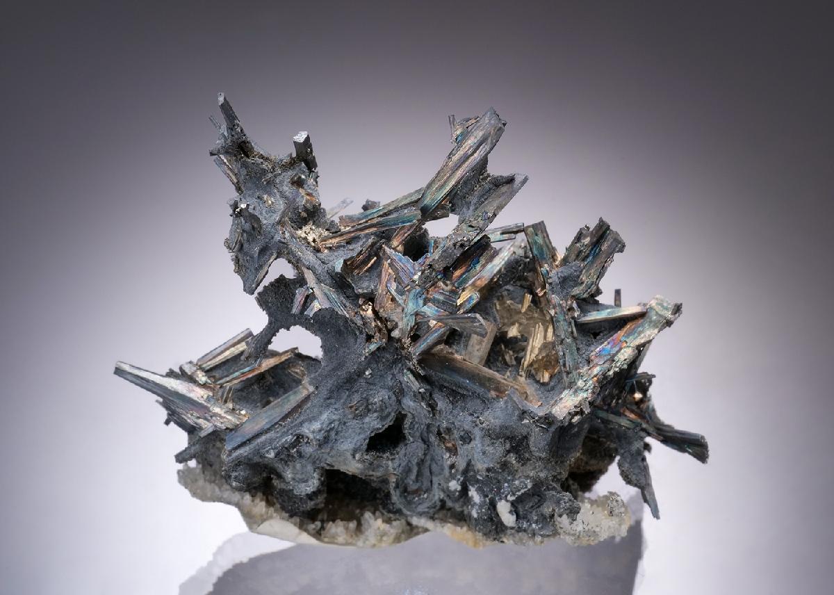 CC19722 specimen image