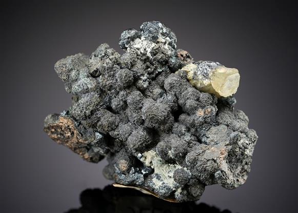 CC19725 specimen image