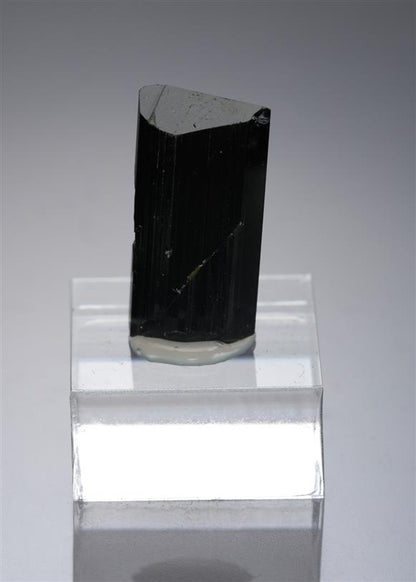 CC19740 specimen image