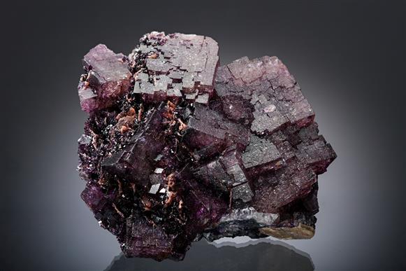 CC19742 specimen image