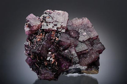 CC19742 specimen image